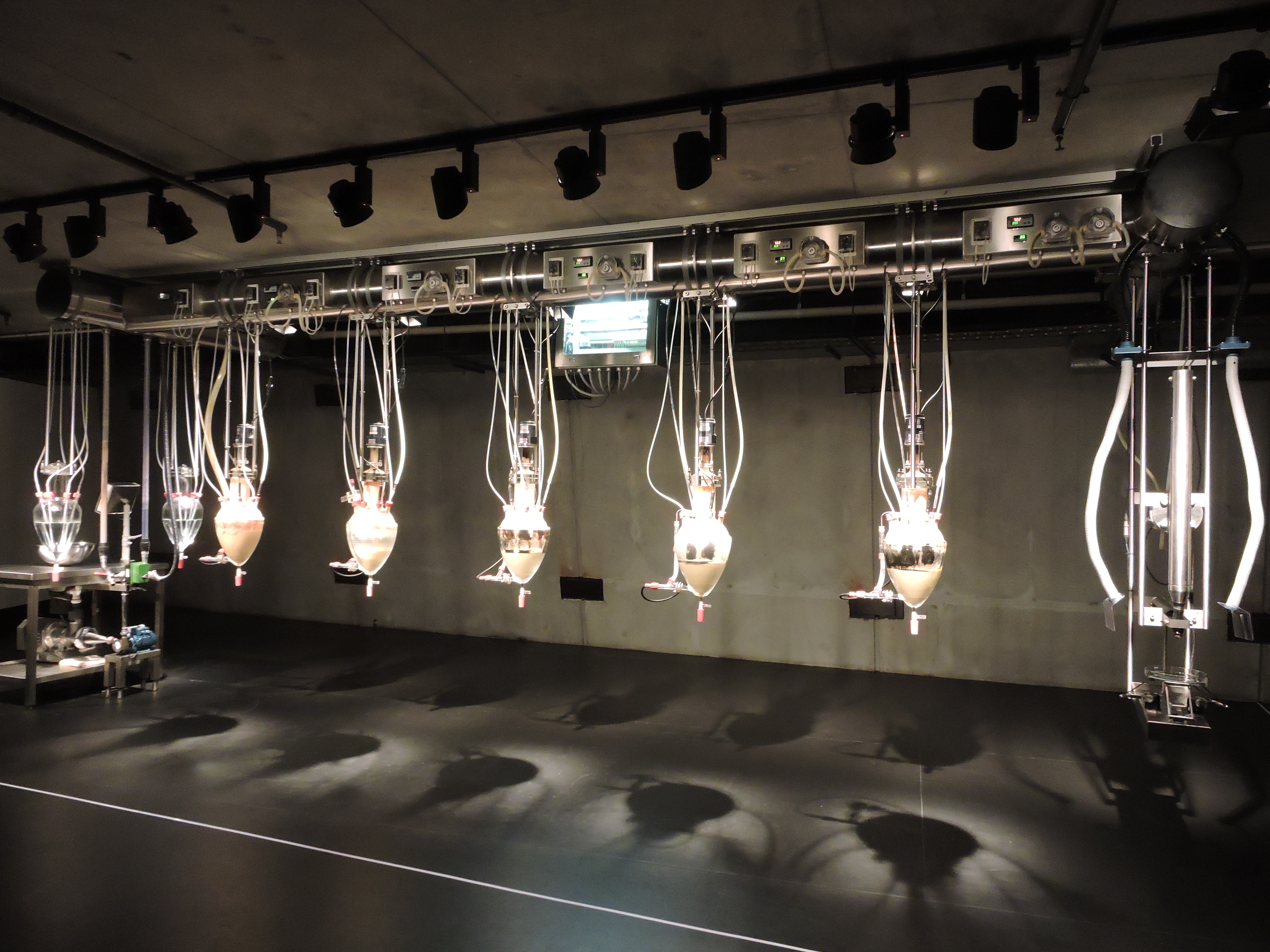 Poo machine, ou, máquina de coco: a atração no museu de arte moderna Mona reproduzia o processo digestivo ao colocar comida no começo da máquina, que saia como um coco (inclusive o cheiro) no fim da máquina