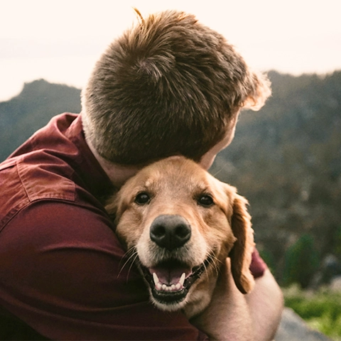 [CAPA] Pet na Austrália